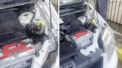 Kaputtaki Fare: Sürücü Konuşarak Çözüm Aradı!