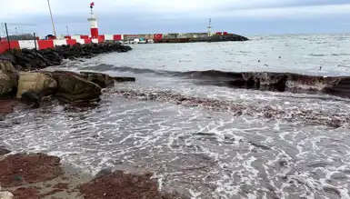 Tekirdağ'da Lodos Kıyıya Kırmızı Yosun Sürükledi