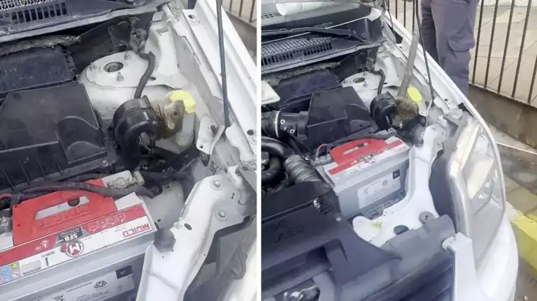Kaputtaki Fare: Sürücü Konuşarak Çözüm Aradı!